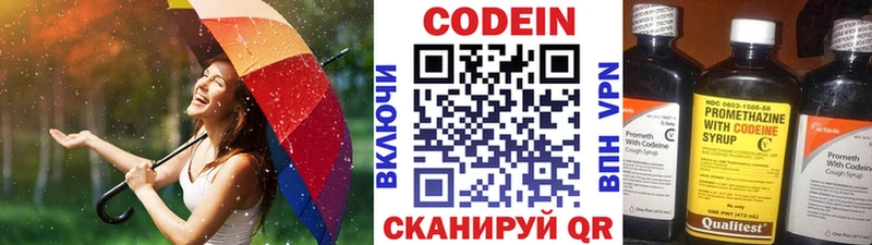 купить закладку  Советская Гавань  Кодеин напиток Lean (лин) 