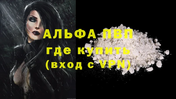 mdpv Новодвинск
