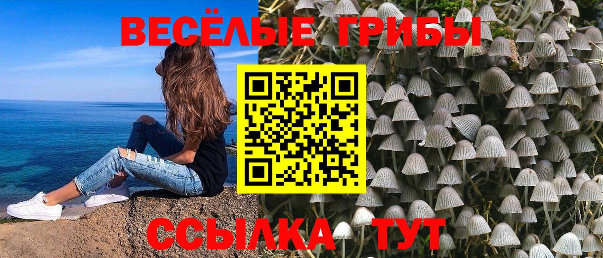 Советская Гавань  Псилоцибиновые грибы GOLDEN TEACHER  Вход с VPN 